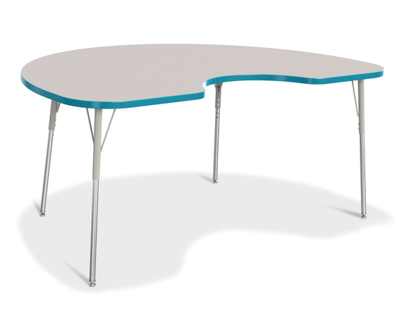 Kidney Activity Table - 48" X 72"