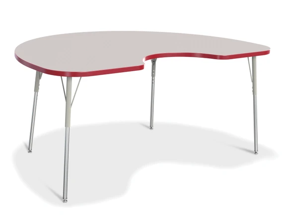 Kidney Activity Table - 48" X 72"