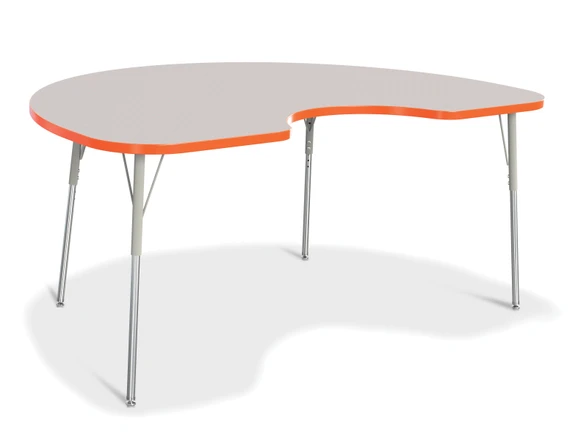 Kidney Activity Table - 48" X 72"