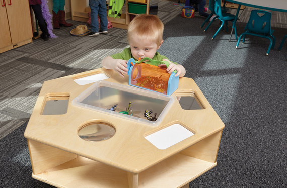 Science Activity Table