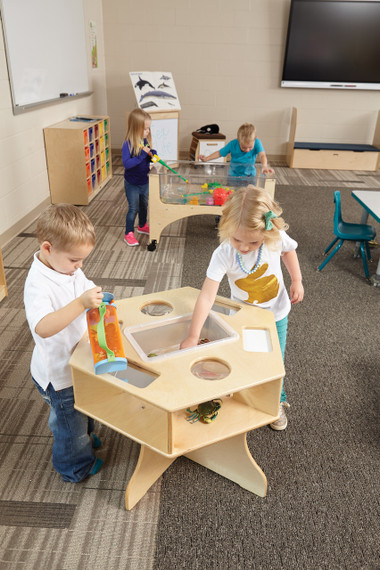 Science Activity Table