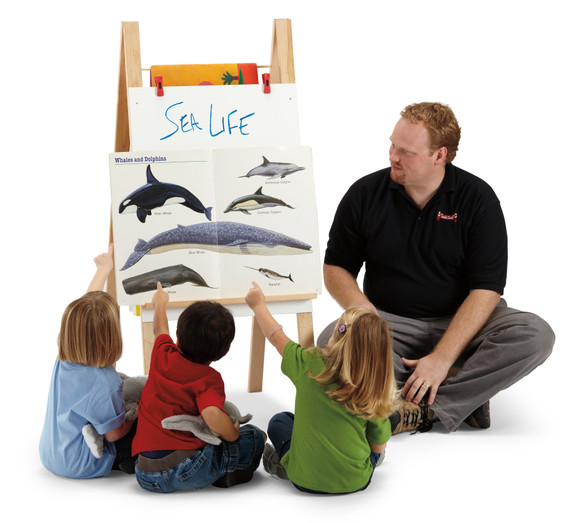 Teachers' Standard Easel - Write-n-Wipe