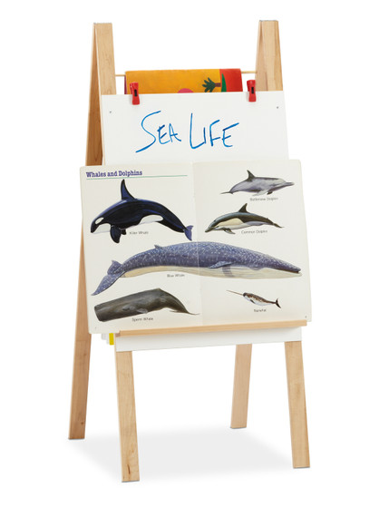 Teachers' Standard Easel - Write-n-Wipe Teachers' Standard Easel - Write-n-Wipe