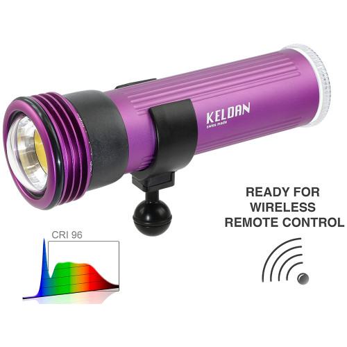 Keldan Video 8XR 17000lm CRI96