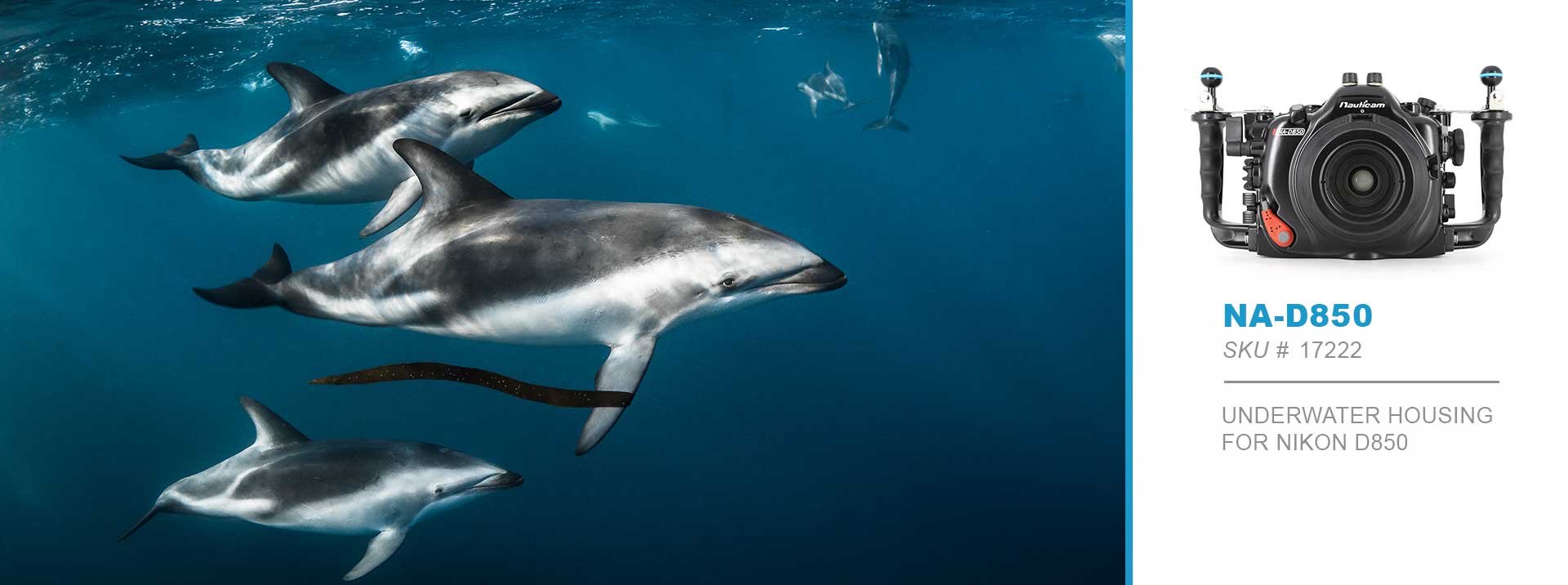 Scubapix The Australian Distributor for Nauticam Underwater Products