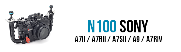 n100-sony-a7riv-button2.png