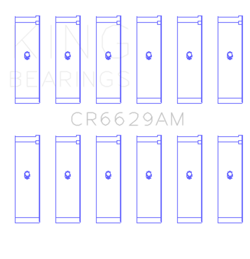 KNGCR6629AM Engine Bearing