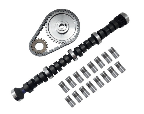 AMC/JEEP 304 1979-1981  Cam Kit