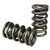 VALVE SPRINGS DUAL 98438