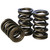 VALVE SPRING DUAL 1.500 OD .800 ID 98541