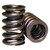 VALVE SPRING SINGLE W/DAMP 1.250 98214