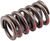 MELVS-380 Valve Spring
