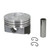 FEDH699DCP Cast Piston Set