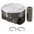 FEDH1532CP Cast Piston Sold in sets only