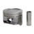 FEDH825CP Cast Piston Set