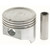 FED454NP Cast Piston Set