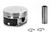 SLV3323HC.75MM Silvolite Piston Set