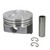 FEDH345DCP30 Cast Piston Set
