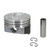 FEDH423DCP40 Cast Piston Set