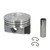 FEDH699DCP30 Cast Piston Set