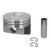 FEDH815DCP40 Cast Piston Set