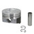 FEDH815DCP30 Cast Piston Set