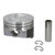 FEDH815DCP20 Cast Piston Set