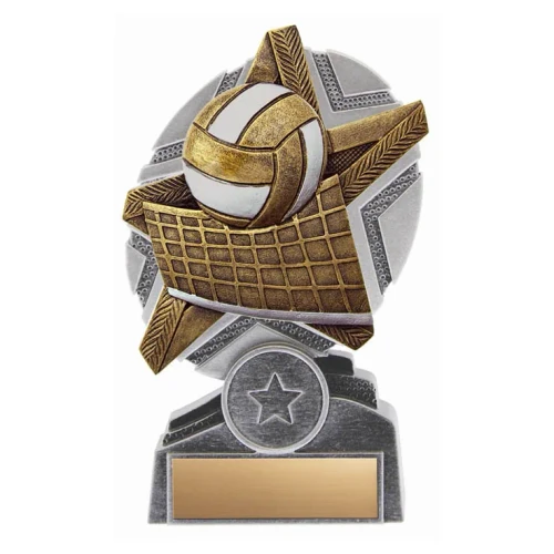 Pro-Star Series Volleyball Award - XPQ17 — 5 inches