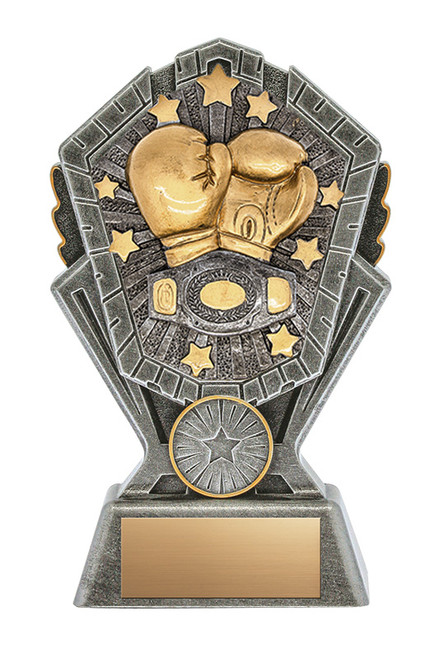 Cosmos Series Boxing Award - XRCS31 — 6 inches