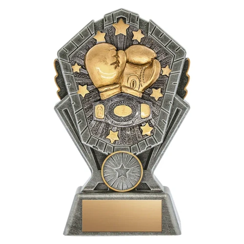 Cosmos Series Boxing Award - XRCS31 — 6 inches