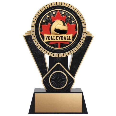 Patriot Series Volleyball Trophy - XRMCF7017 — 7 inches