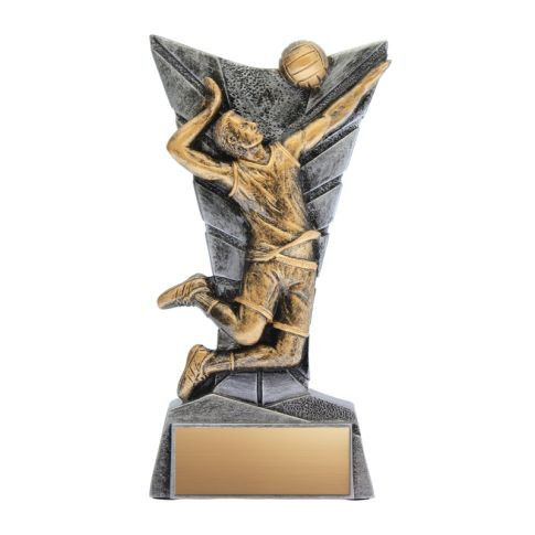 Delta Volleyball Male Trophy — 5.75 inches