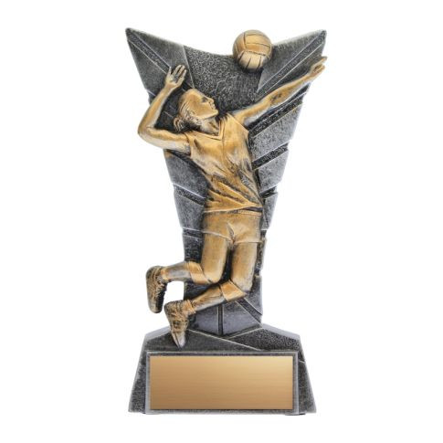 Delta Volleyball Female Trophy — 5.75 inches