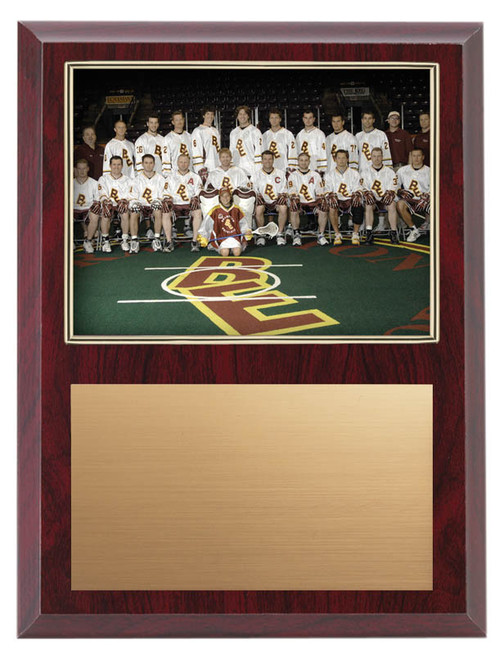 Gold Border Photo and Certificate Plaques - 520GA — 9" x 12"