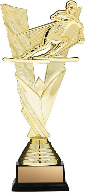Victory Skiing Award — 8.5 inches