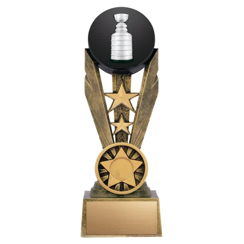 Sports / Resins Hockey Award - RA2610 — 10