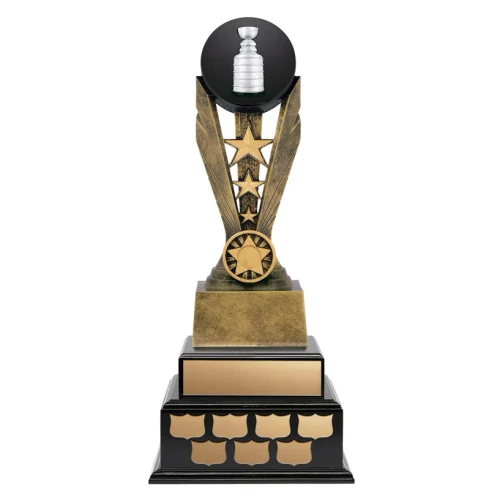 Sports / Resins Hockey Award - RB25W2610C — 19.5