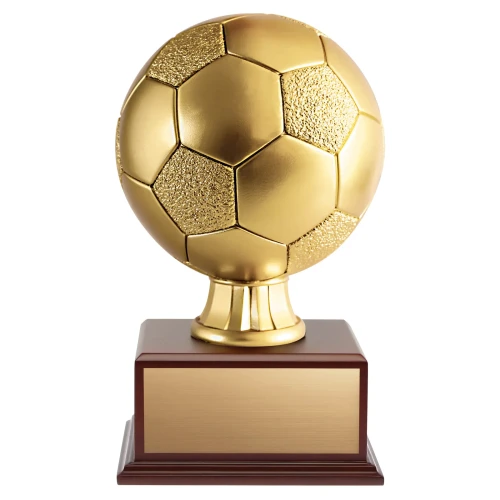 Cardinal Soccer Award - RBWD3513G — 14 inches