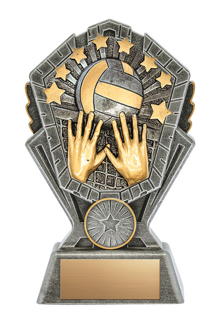 Cosmos Series Volleyball Award — 6 inches