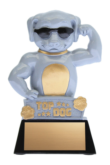 Sports / Resins Novelty Awards Award - XRG305 — 4.75