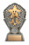 Little Stars Hockey Award - XRLS10 — 6 inches