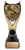  Football Award - XV06 — 7.75