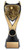  Motorsports Award - XV29 — 7.75