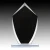 Onyx Series Award - GLBK1973 — 8 1/4"