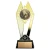 Citadel Series Gold Motorsports Trophy - XGPA9238 — 9 inches