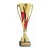 Fire and Ice Series Trophy - TFE796