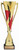 Fire and Ice Series Trophy - TFE797