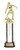 Aurora Series Trophy Kit - TKU-150 — Silver