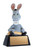 Donkey Trophy - XRG307 — 4.75