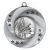 Matrix darts: example Silver insert/Silver medal.